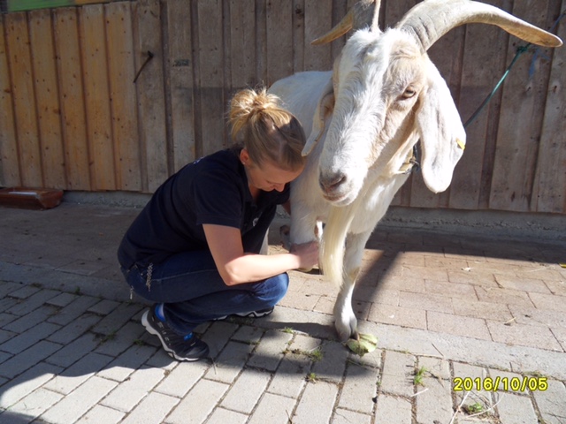 PhysioTIERapie Galerie
